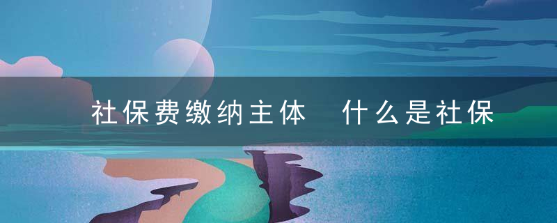 社保费缴纳主体 什么是社保费缴纳主体